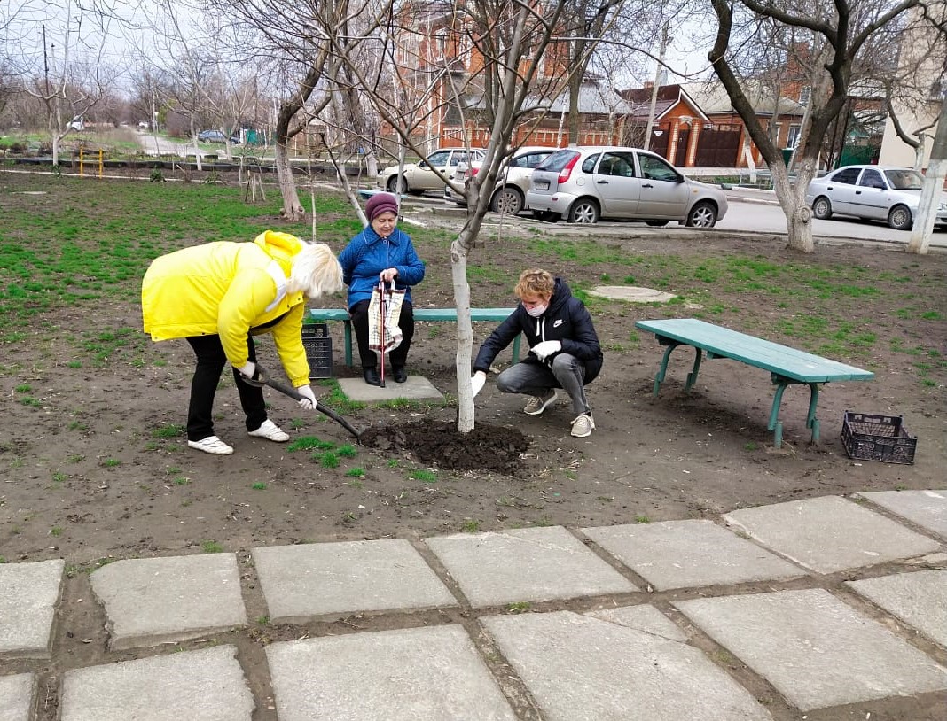 IMG-20210408-WA0011-1